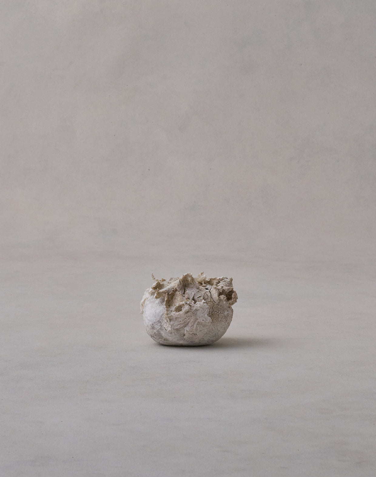 Akiko Hirai 'Moth and Cocoon No.11, 2025' (AH2545)