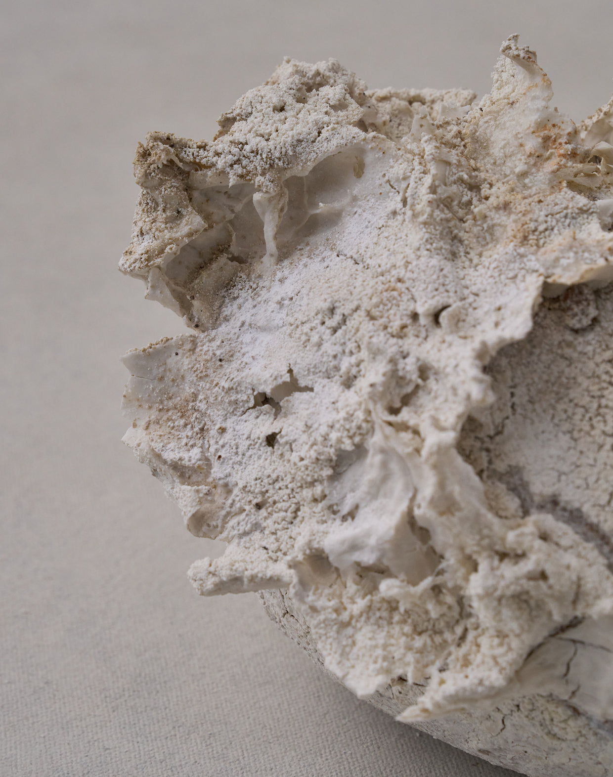 Akiko Hirai 'Moth and Cocoon No.11, 2025' (AH2545)