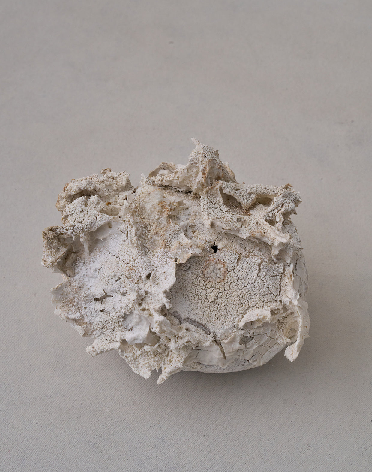 Akiko Hirai 'Moth and Cocoon No.11, 2025' (AH2545)