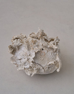 Akiko Hirai 'Moth and Cocoon No.11, 2025' (AH2545)