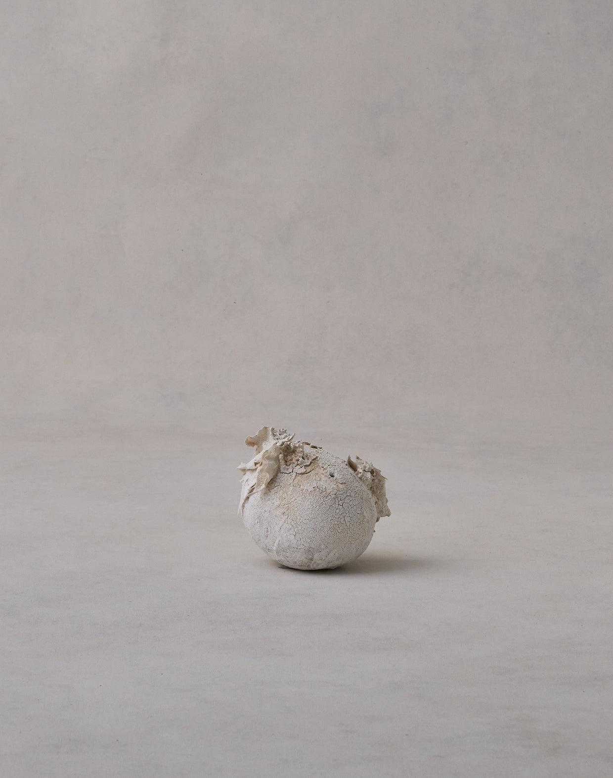 Akiko Hirai 'Moth and Cocoon No.12, 2025' (AH2546)