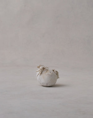 Akiko Hirai 'Moth and Cocoon No.12, 2025' (AH2546)
