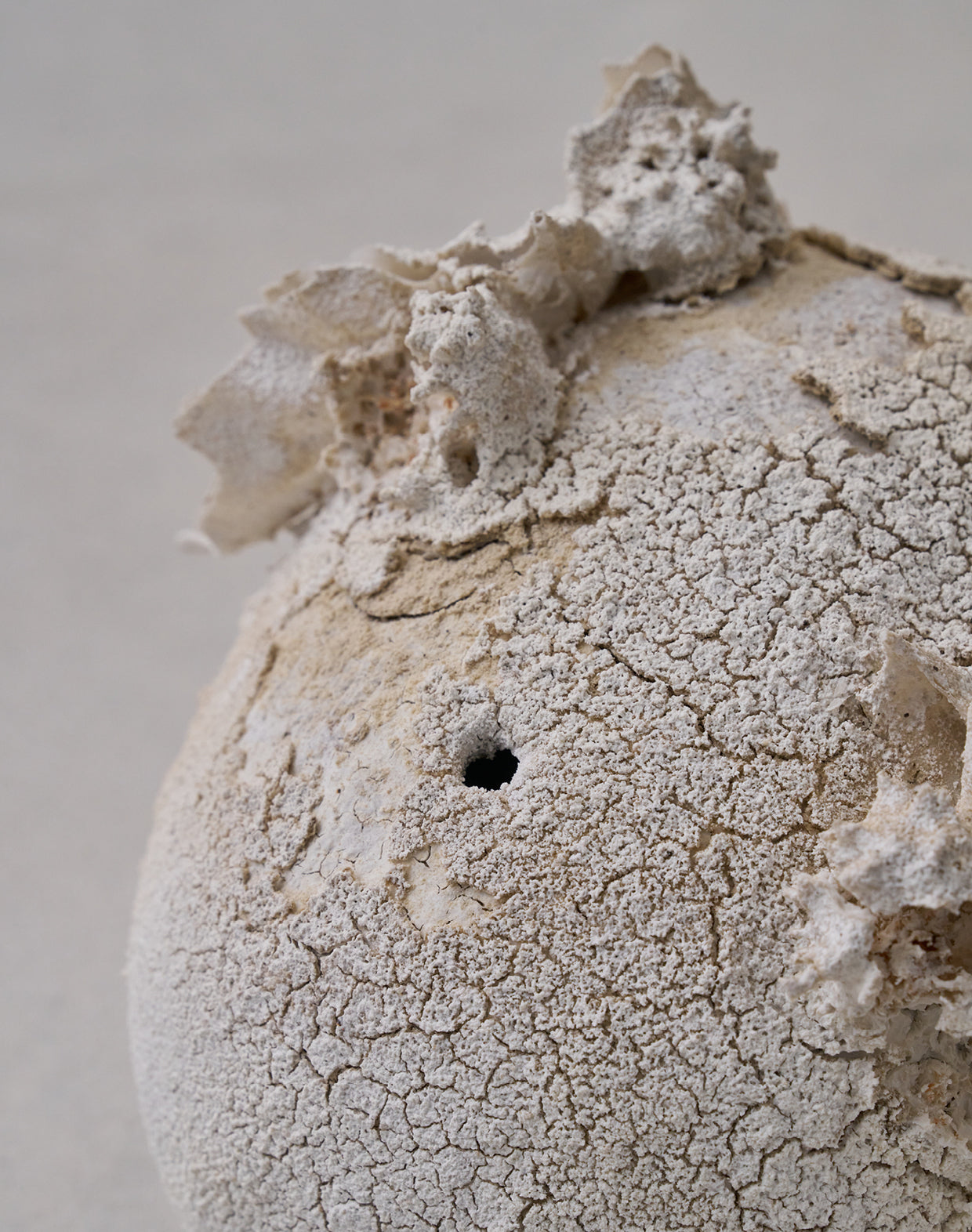 Akiko Hirai 'Moth and Cocoon No.12, 2025' (AH2546)