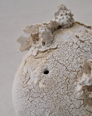 Akiko Hirai 'Moth and Cocoon No.12, 2025' (AH2546)