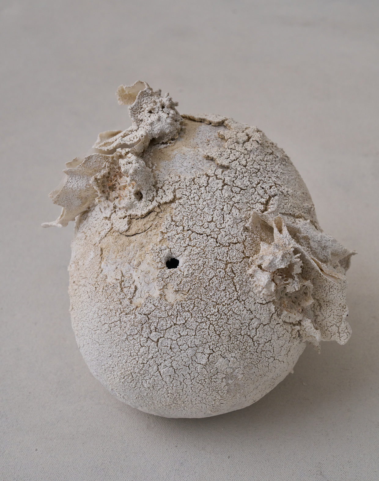 Akiko Hirai 'Moth and Cocoon No.12, 2025' (AH2546)
