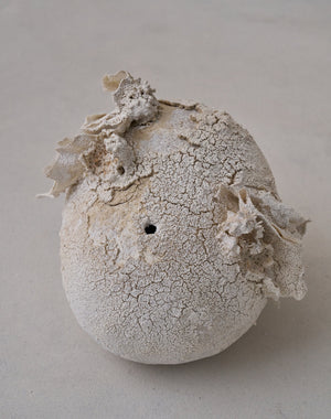 Akiko Hirai 'Moth and Cocoon No.12, 2025' (AH2546)