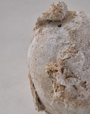 Akiko Hirai 'Moth and Cocoon No.13, 2025' (AH2547)