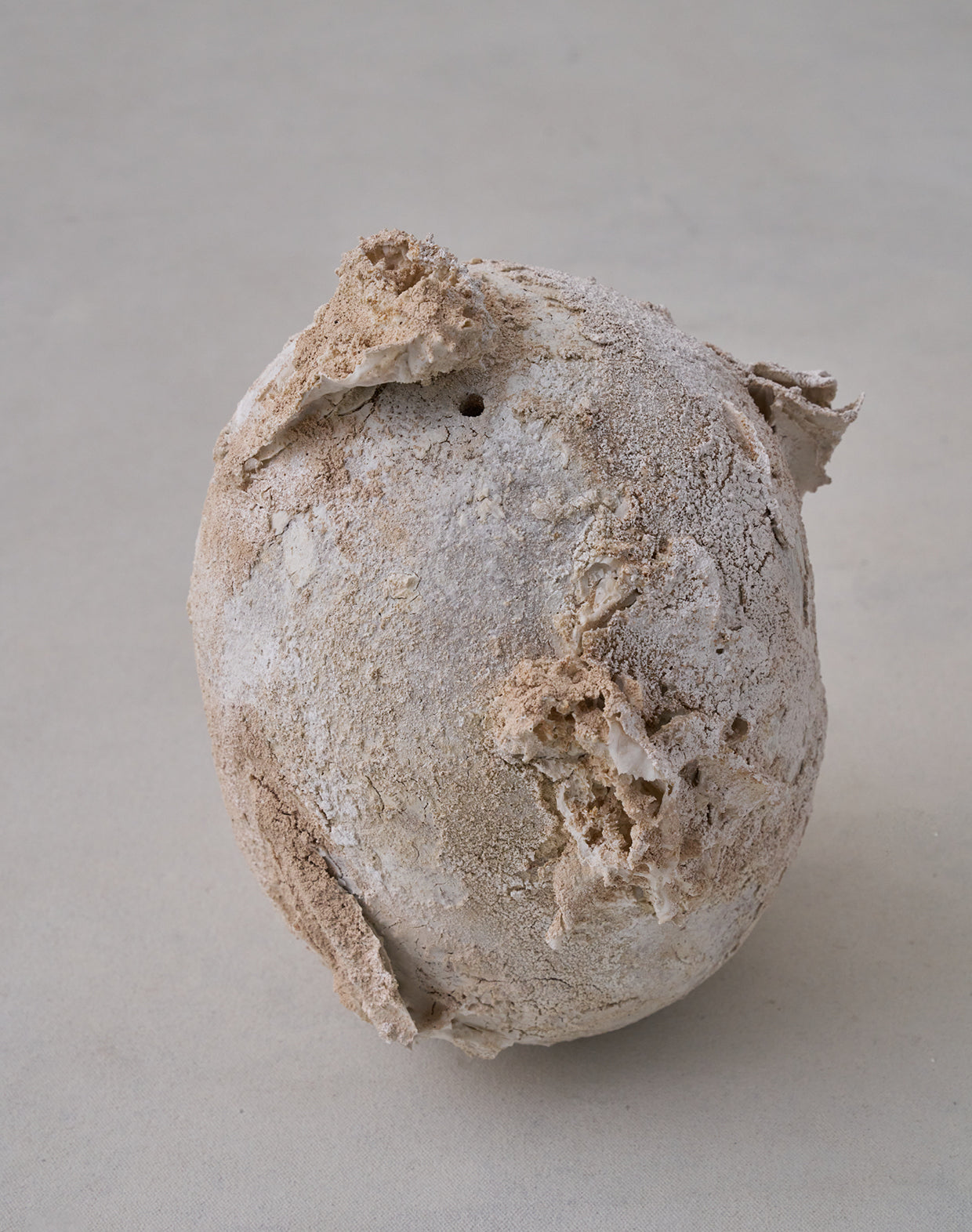 Akiko Hirai 'Moth and Cocoon No.13, 2025' (AH2547)
