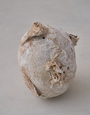 Akiko Hirai 'Moth and Cocoon No.13, 2025' (AH2547)