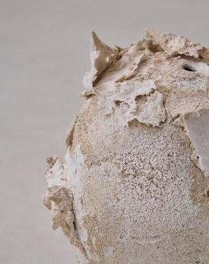 Akiko Hirai 'Moth and Cocoon No.14, 2025' (AH2548)