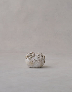 Akiko Hirai 'Moth and Cocoon No.15, 2025' (AH2549)