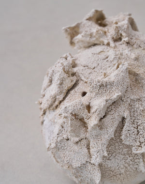 Akiko Hirai 'Moth and Cocoon No.15, 2025' (AH2549)