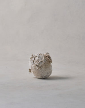 Akiko Hirai 'Moth and Cocoon No.16, 2025' (AH2550)