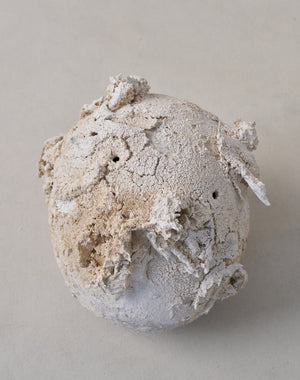 Akiko Hirai 'Moth and Cocoon No.16, 2025' (AH2550)