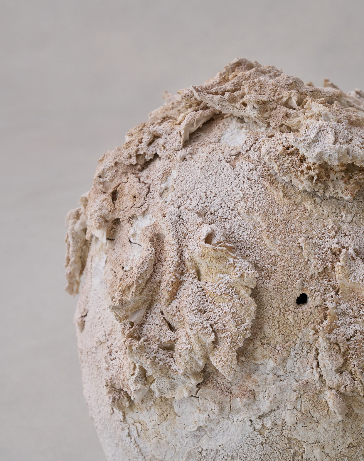 Akiko Hirai 'Moth and Cocoon No.18, 2025' (AH2552)