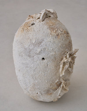 Akiko Hirai 'Moth and Cocoon No.19, 2025' (AH2553)