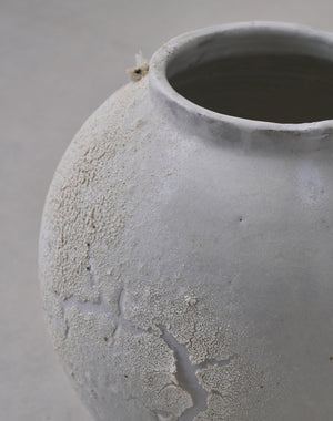 Akiko Hirai 'Mon-Shiro-Cho Butterfly Moon Jar No.02, 2025' (AH2567)