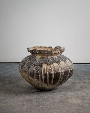 Casey Zablocki 'Ammonit, 2026'