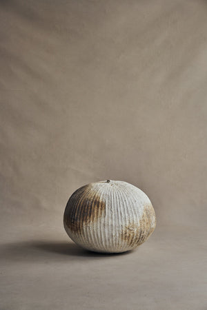 Akiko Hirai Poppy Pod "Untitled" 2021 (Ahpp52)