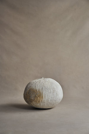 Akiko Hirai Poppy Pod "Untitled" 2021 (Ahpp52)
