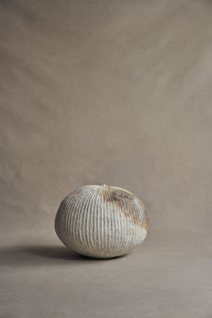 Akiko Hirai Poppy Pod "Untitled" 2021 (Ahpp52)