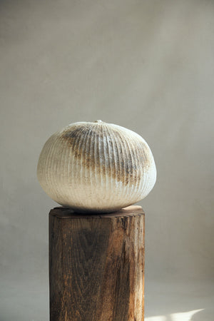 Akiko Hirai Poppy Pod "Untitled" 2021 (Ahpp52)
